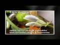 West Country produce - Elisha Carter & Chris Horridge - Great British Menu