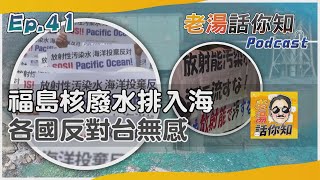 老湯話你知Podcast#41 日本即將排放福島核廢水 多國強烈抗議台灣無所謂?｜TVBS新聞 @TVBSNEWS01