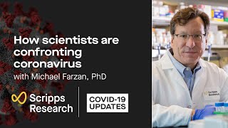 How scientists are confronting coronavirus: Scripps Research COVID-19 updates
