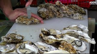 Oysters in Okinawa - Street Food in Japan