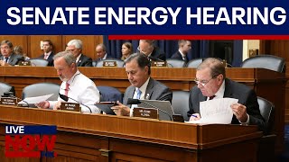 LIVE: Senate Energy \u0026 Commerce Committee hearing | LiveNOW from FOX