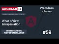 #59 What is View Encapsulation | Understanding View Encapsulation | A Complete Angular Course