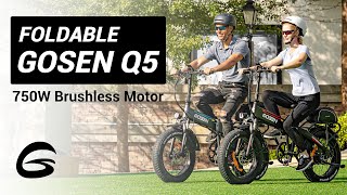 GOSEN Q5 | Lightweight Foldable Fat Tire E-Bike | 750W 624Wh