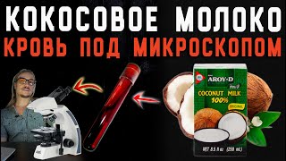 Кокосовое Молоко 19% кровь под микроскопом