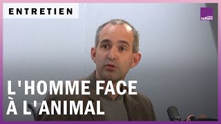 L'homme face à l'animal, une histoire de violence et d'empathie