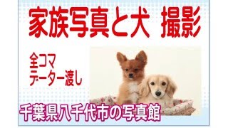 ペット写真館　千葉｜犬と家族の写真撮影スタジオ