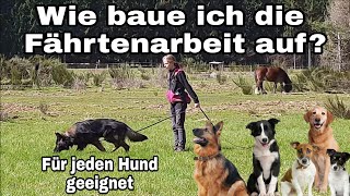 Fährten lernen, Fährtenaufbau beim Hund, Nasenarbeit dem Hund beibringen Teil 1