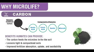 What Are Humates? Exploring Humic and Fulvic Acids with MicroLife