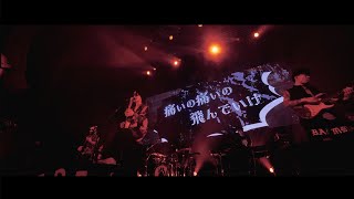 痛いの痛いの飛んでいけ / TOOBOE (LIVE ver.)