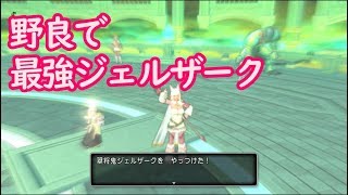 野良でジェルザーク３を倒すためにやってきた 20190713【ドラクエ10】