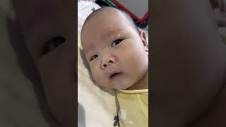 80后老爸带娃，一天到晚都干了点啥？#养娃日常 #宝爸带娃 #人类幼崽