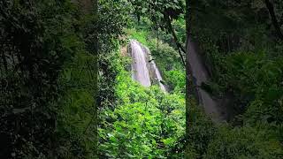 Tanaw na tanaw Pala dito ang Pak Sui Wun waterfalls #shorts #waterfall #waterflowsound