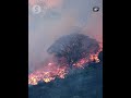 Wildfires grip northern region of Cordoba in Argentina