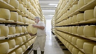 Giant Stories: Belgioioso Fresh Italian Style Cheeses