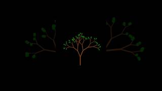 Awesome Python Turtle Graphics | Draw tree with Python Turtle |Day-02 #python #pythontutorial