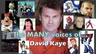 The MANY Voices of - David Kaye