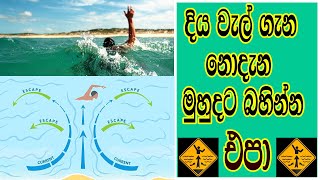 දිය වැල් ගැන නොදැන මුහුදට බහින්න එපා ! Learn Rip Currents