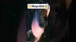 Video ini, menggambarkan keajaiban Allah yang luar biasa #MasyaAllah #Mukjizat #respect💯 #Shalawat