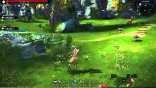 TERA Livestream Gameplay - 1 / 4