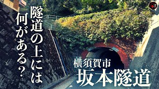 【隧道の上】横須賀市「坂本隧道」の上には何がある？Japanese tunnel and scenery「高画質推奨」