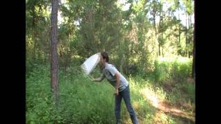 sweep net 1