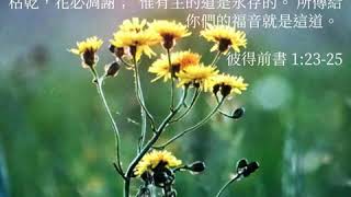 每天领受 神的话---彼得前书1:23-25 (20年6月20日)