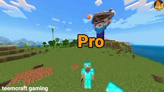 NOOB VS PRO BIG HOUSE CHALLENGE IN  Minecraft/ Minecraft
