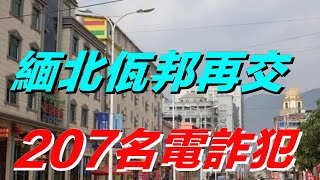 緬北佤邦再交207名電詐嫌犯，鮑有祥是否真心打擊電詐呢？【真正歷史】#佤邦 #鮑有祥#緬北