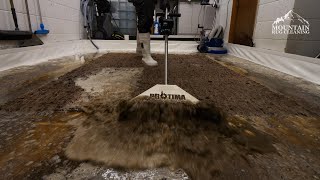 This Rug Was So Bad I Had To Clean It Underwater! Satisfying ASMR Carpet Cleaning.