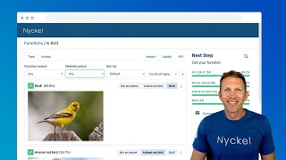 Machine Learning with Nyckel in 60 Seconds