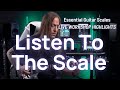 Listen To The Scale - Essential Guitar Scales Workshop Highlight | Steve Stine Guitar Lessons