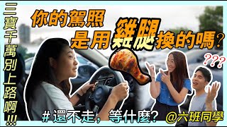 【還不走等什麼】駕照考了七年卻只上路七次？！ 你的駕照是用雞腿換的嗎？ 馬路三寶之雪莉生氣氣｜六班同學