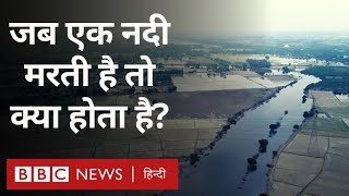 Hindon River and Pollution: NCR में बहने वाली हिंडन नदी कैसे बन गई 'जहरीला नाला'? (BBC Hindi)