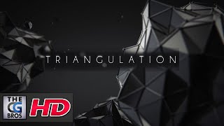 CGI 3D Animated Short: "TRIANGULATION"  - by Vladimir Vlasenko