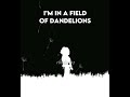 dandelions