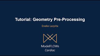 Tutorial Geometry Pre-Processing