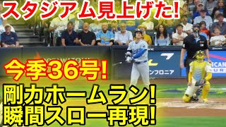 スタジアム見上げた！大谷36号2ラン剛力ホームラン瞬間スロー映像！現地映像