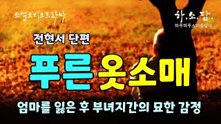 그 날 내 손 안에서 흩어지는 엄마를 붙잡고 싶었다. [푸른 옷소매 -전현서] 소설읽어주는여자 하소담/korean novel/소설읽어드립니다/오디오드라마/Podcast