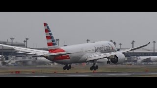 ✈✈横風着陸 桜吹雪の成田空港へ着陸する Boeing 787-8アメリカン航空 (American Airlines) Landing Narita RWY16R成田空港!さくらの山