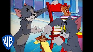 Tom y Jerry en Español | ¿Son amigos Tom y Jerry? | Dibujos Animados Clásicos Compilación | WB Kids