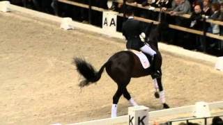 KWPN stallion Zhivago (Krack C x Jazz) at KWPN Stallion Selection 2011, 's-Hertogenbsoch