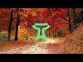 TACA Music - Autumn leaves