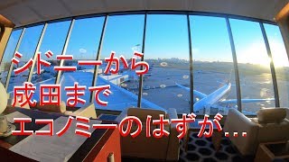 シドニーから成田 JAL エコノミーのはずが…