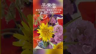 早安你好! | 简单的问候， 装满我所有的祝福...#shortvideo #早安 #祝福 #星期三 #早上好 #早安正能量 @leleenjoying