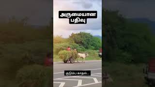 குடும்ப காதல்...