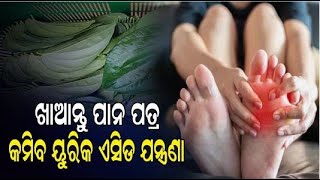 ଖାଆନ୍ତୁ ପାନ ପତ୍ର...କମିବ ୟୁରିକ୍ ଏସିଡ୍ ଯନ୍ତ୍ରଣା...ଜାଣନ୍ତୁ କେମିତି ?@odiahealthnewsofficial