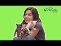 A Couple Rescues A Cat // Presented By BuzzFeed & Rachael Ray Nutrish