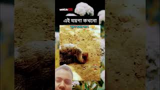 এই জায়গা আর পূরণ হবার নয়। #shorts #youtubeshorts #funny