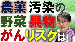 【必見】農薬で汚染された野菜・フルーツの「がん」リスクは？残留農薬（殺虫剤）とがん死亡率に関する最新の研究結果