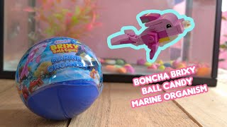 UNBOXING \u0026 RAKIT BRICK BONCHA BRIXY BALL CANDY MARINE ORGANISM PART Part 2 (Pink Dolphin)